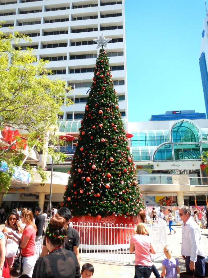 Christmas Tree Perth