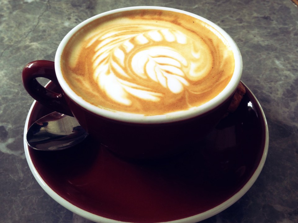 Loysel's Toy Flat White