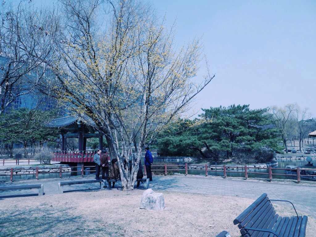 SEOUL DIARIES OO4: YEOUIDO&nbsp;PARK