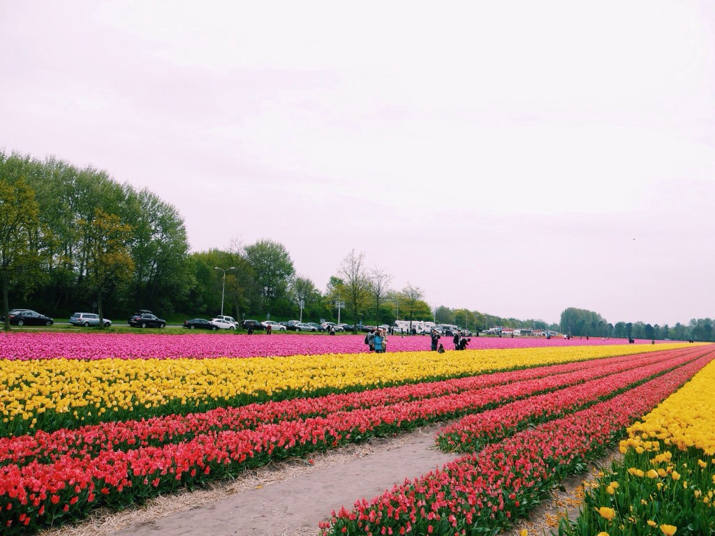 [AMSTERDAM] Keukenhof Gardens Part&nbsp;Seven