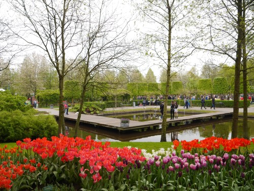 Keukenhof Spring Flowers 2