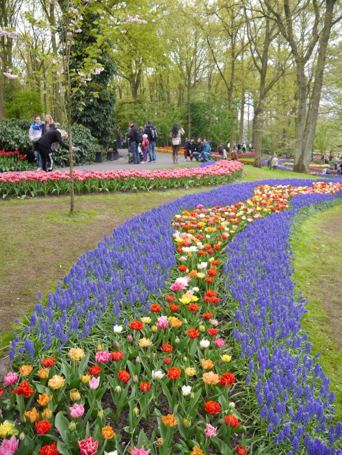 Keukenhof Spring Flowers 17