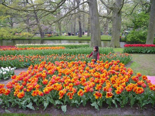Little Girl and her Garden