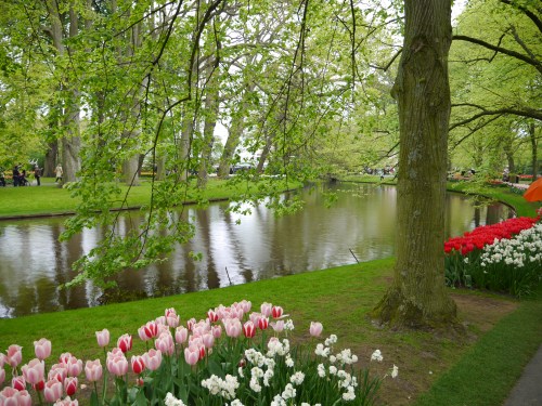 Lakeside Netherlands