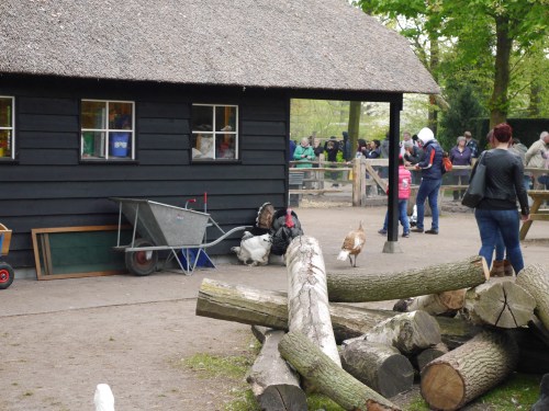 Keukenhof Petting Zoo
