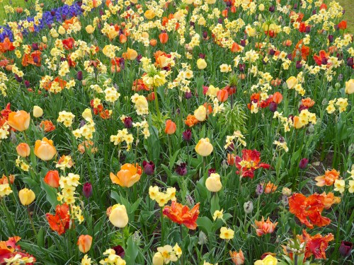 Secret Garden Netherlands