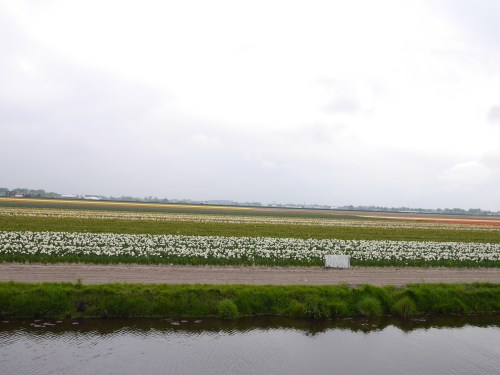 Lisse Holland