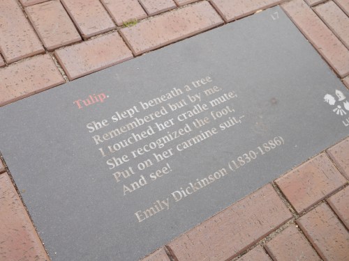 Keukenhof Quotes Tulip