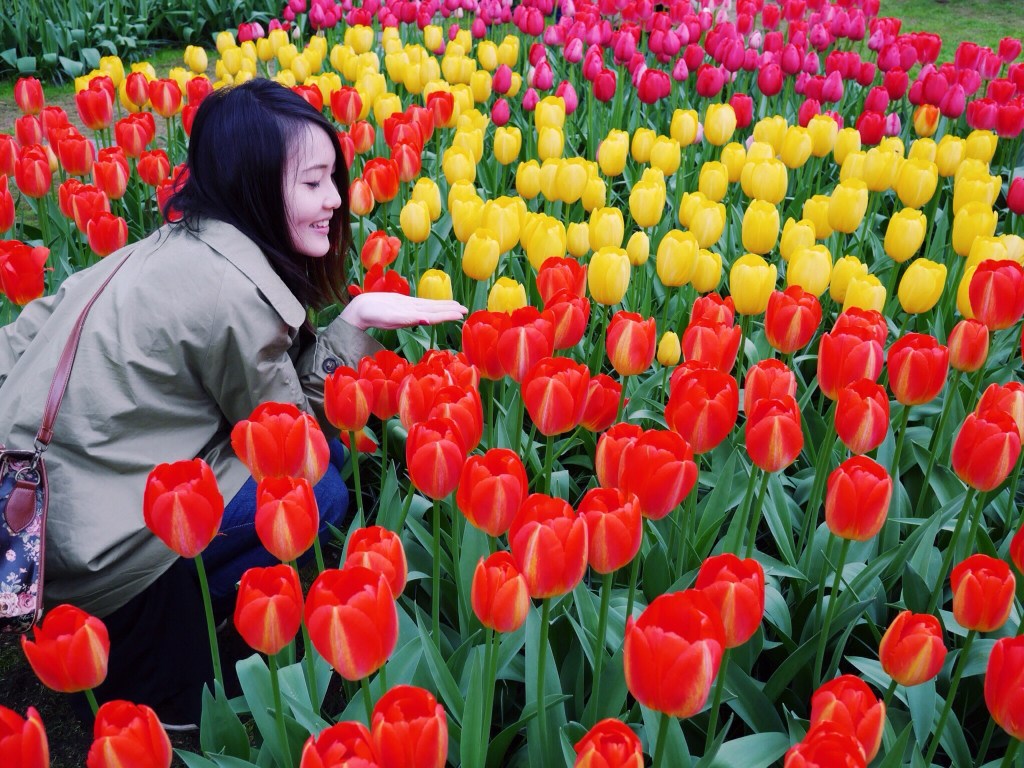 [AMSTERDAM] Keukenhof Gardens Part&nbsp;Eight