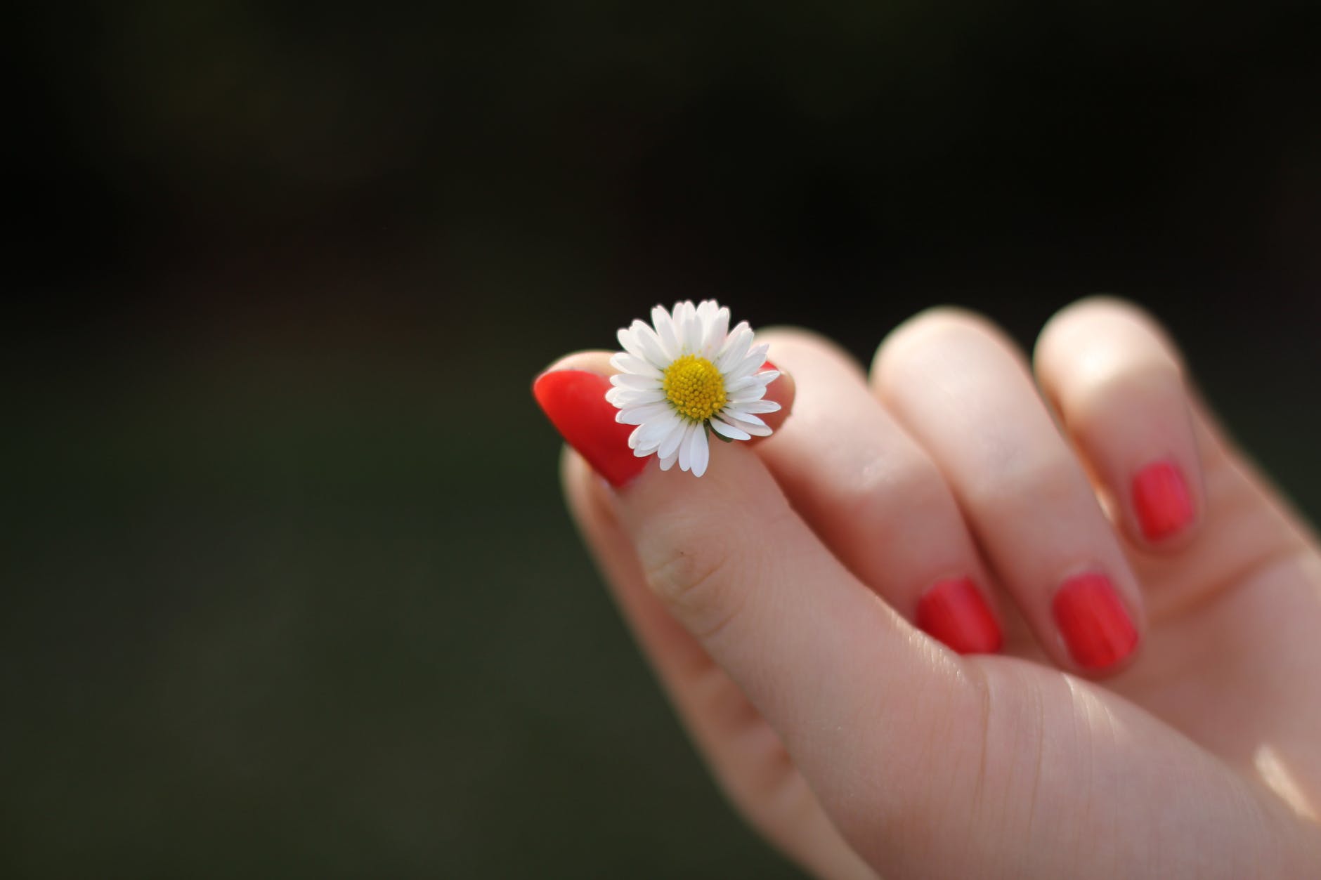 Diamond Studded Acrylic Nails – Nailed It!